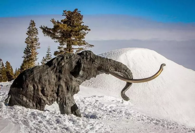 هتل St. Moritz 75