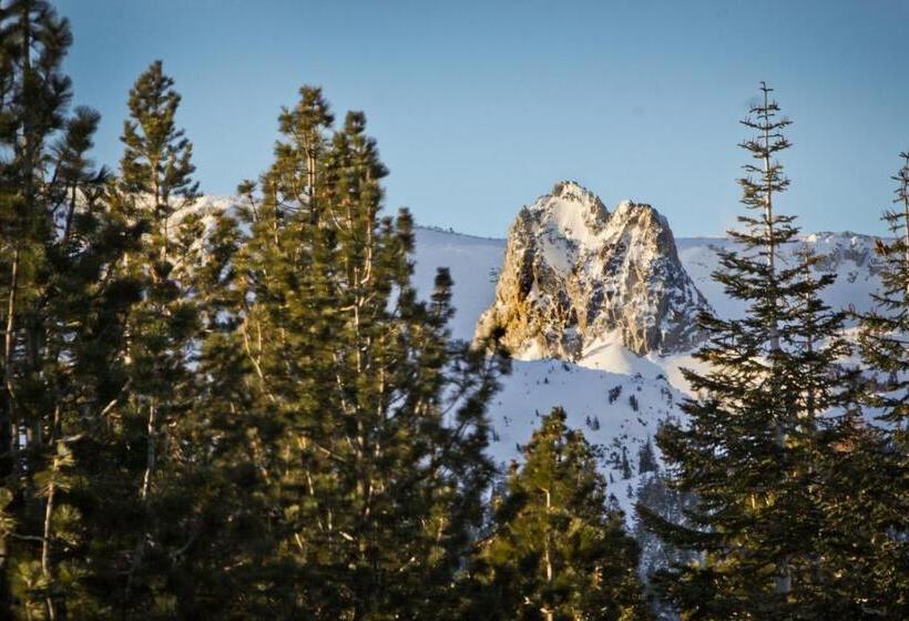 酒店 St. Moritz 75