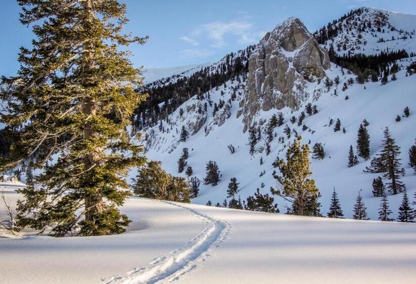 酒店 St. Moritz 75