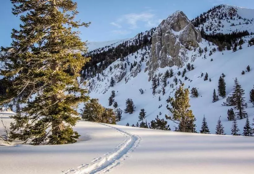 هتل St. Moritz 75