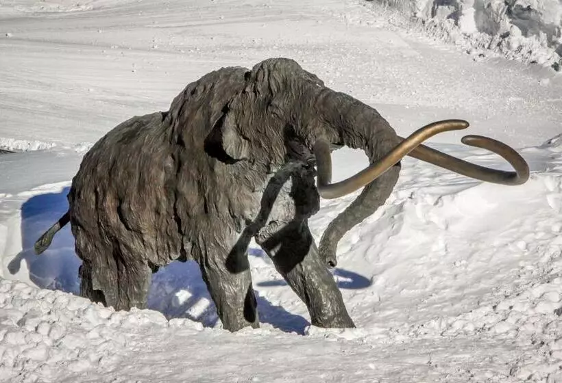 هتل St. Moritz 75