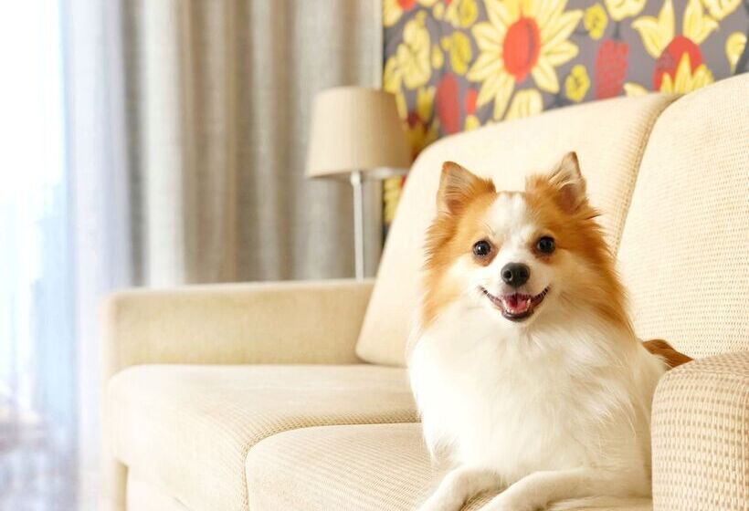 호텔 Tisza Balneum