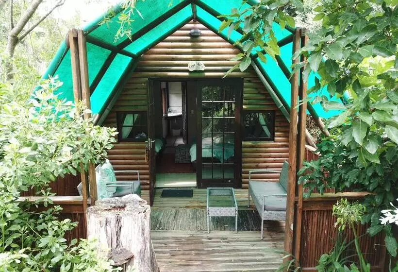 ホテル Mali Boutique Lodge & Tube  N Axe Budget Accommodation