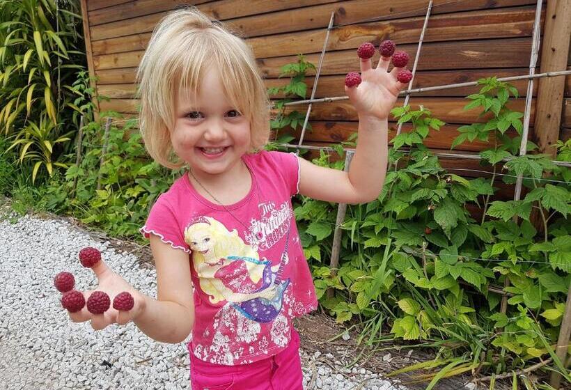 호텔 Mali Boutique Lodge & Tube N Axe Budget Accommodation