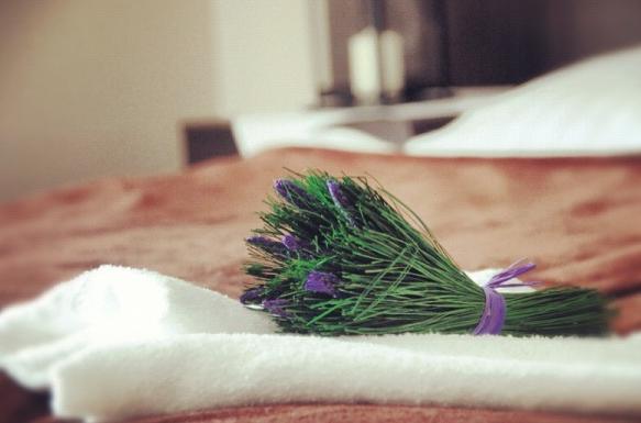 Отель Victor Berg Resort