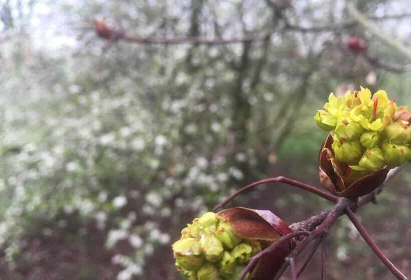 בית מלון כפרי Zamek Dobra