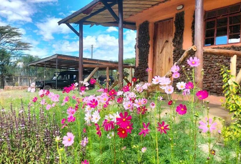 هاستل Beats Of Beads Trust