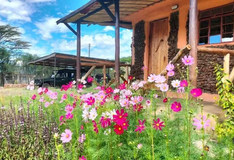 هاستل Beats Of Beads Trust