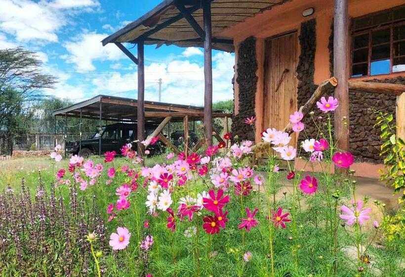 هاستل Beats Of Beads Trust