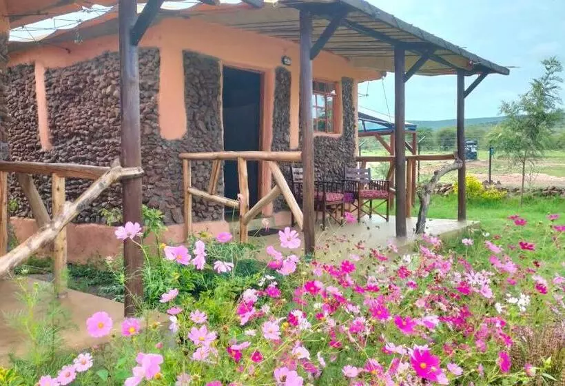 هاستل Beats Of Beads Trust