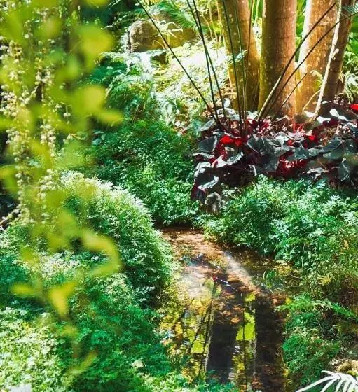 Bangnu Greenery Resort