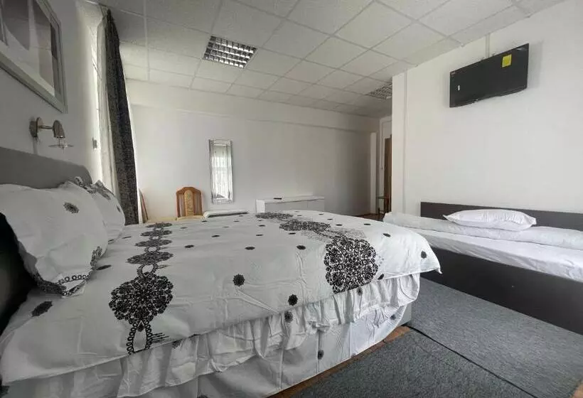 Complex Garsoniere. Studio Rentals