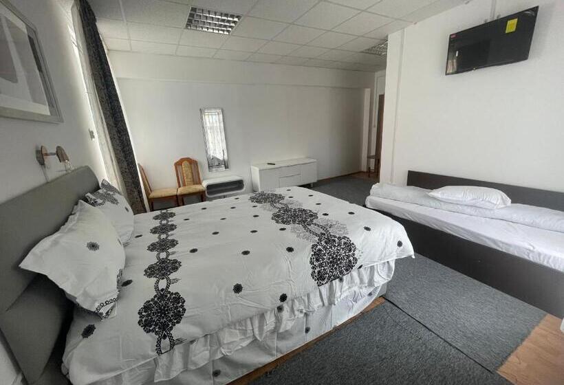 Complex Garsoniere. Studio Rentals