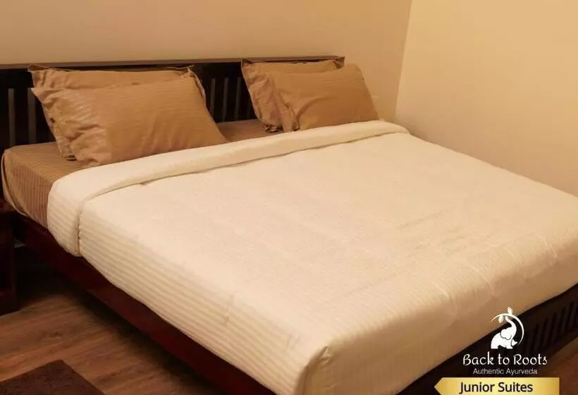 Lomakeskus Back To Roots Ayurveda Retreat