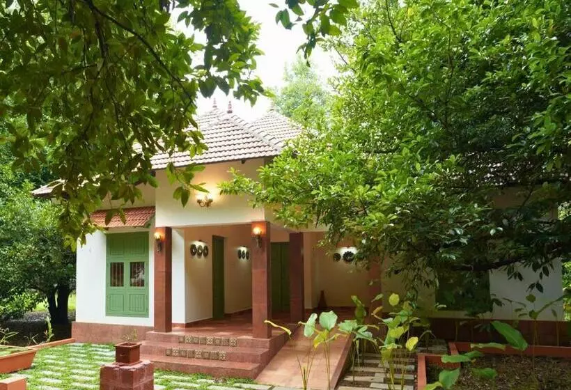Lomakeskus Back To Roots Ayurveda Retreat