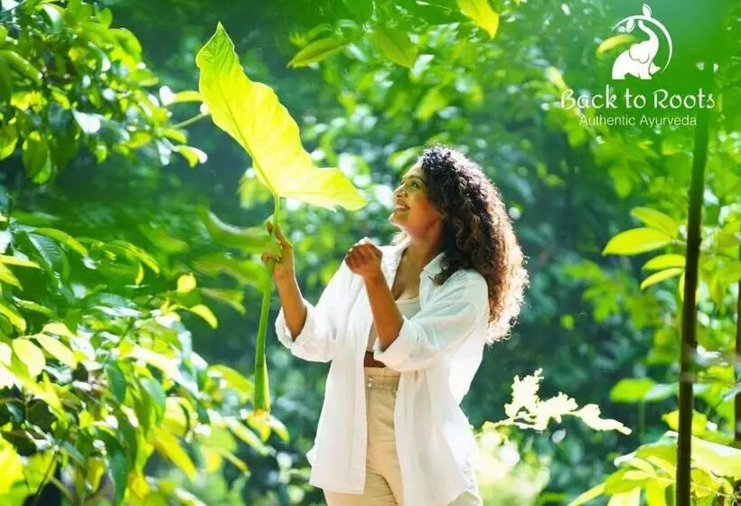 Lomakeskus Back To Roots Ayurveda Retreat