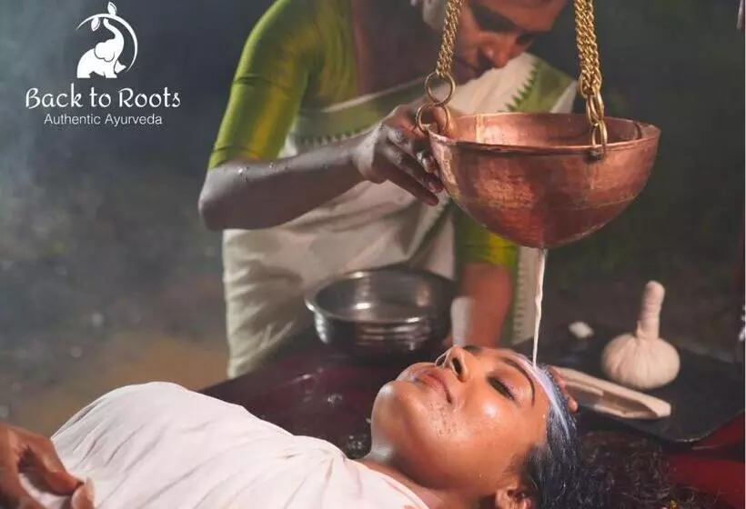 Lomakeskus Back To Roots Ayurveda Retreat