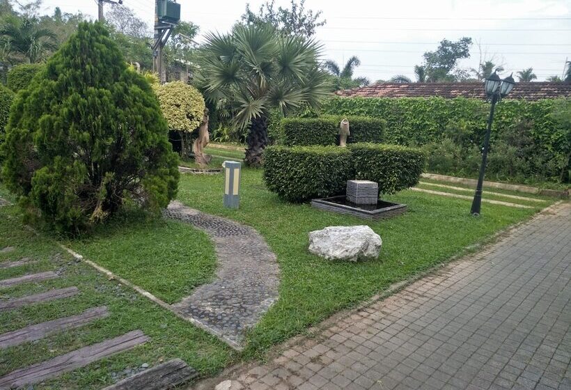 Airport Hotel Dream Paradise