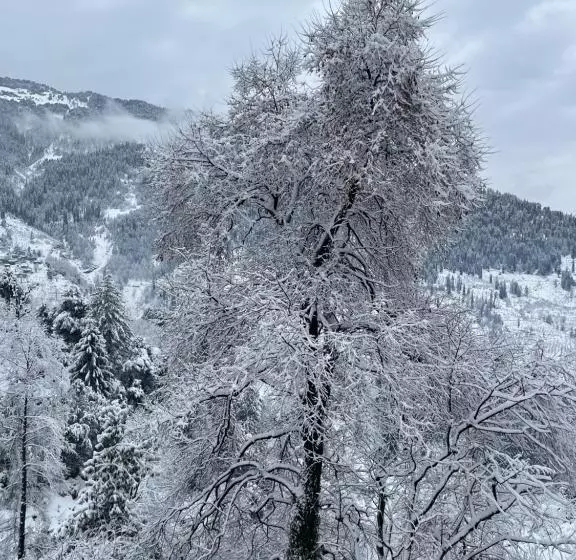 ユースホステル Flüstern Homestay