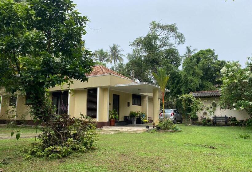 Bed and Breakfast Serene Garden Lodge