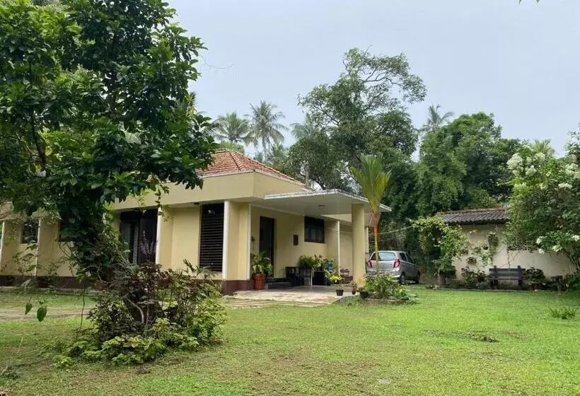 Aamiaismajoitus (B&B) Serene Garden Lodge