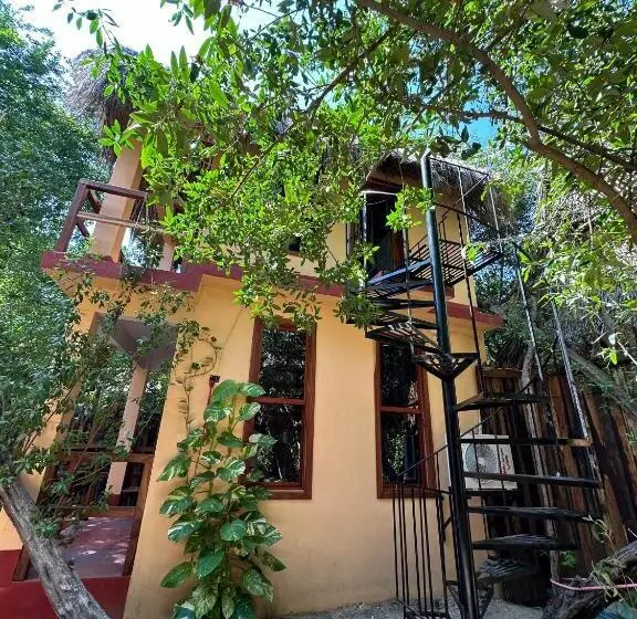 Hotelli Casa Ava
