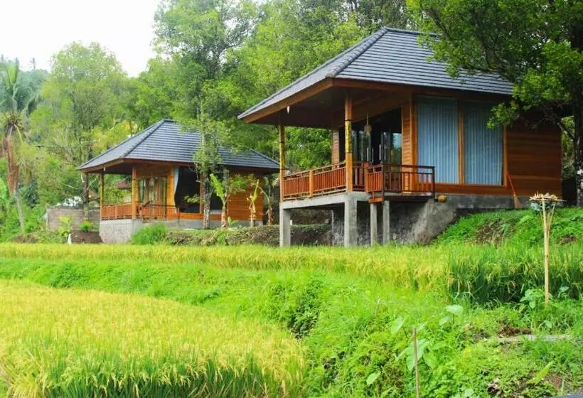 ホテル Mayura Bali Villa