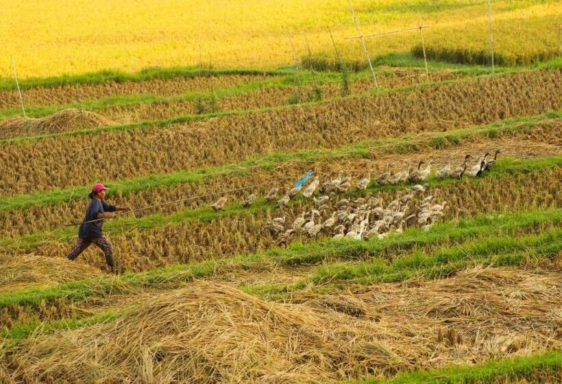 בית מלון כפרי Mayura Bali Villa