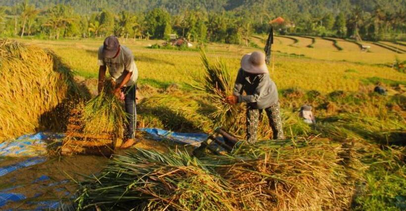 酒店 Mayura Bali Villa