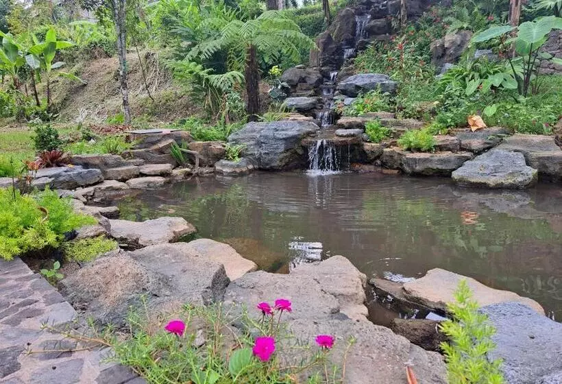 ホテル Mayura Bali Villa