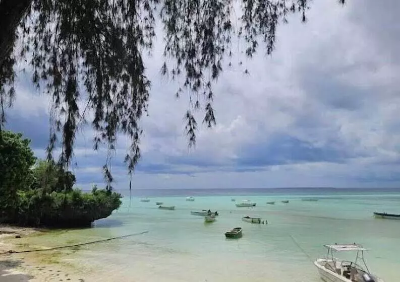 Majatalo Kilimani Kizi Lodge