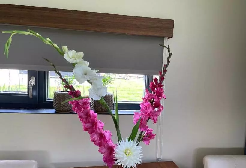 Aamiaismajoitus (B&B) Casitas Wijchen