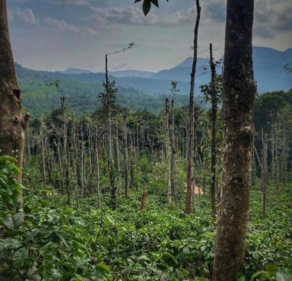 Отель Adis Home With Waterfalls