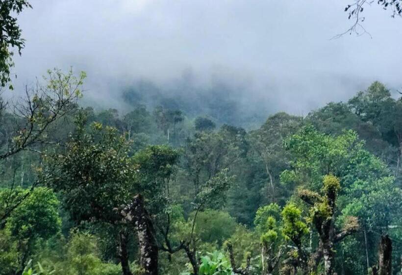 Отель Adis Home With Waterfalls