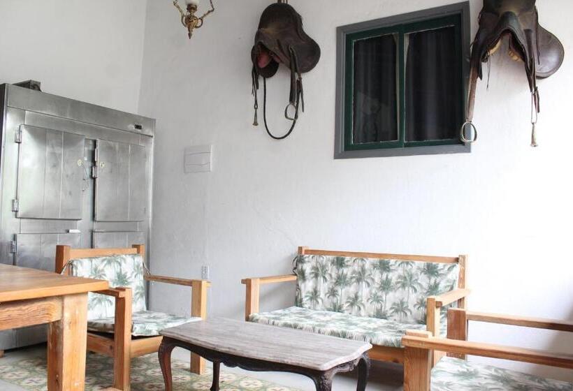 בית מלון כפרי Fazenda Dos Coqueiros Bananal Sp