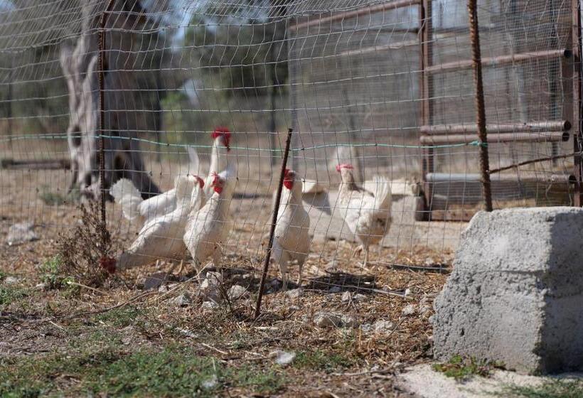 פנסיון Agriturismo Masseria San Basilio