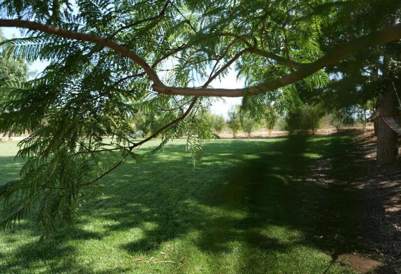 פנסיון Agriturismo Masseria San Basilio