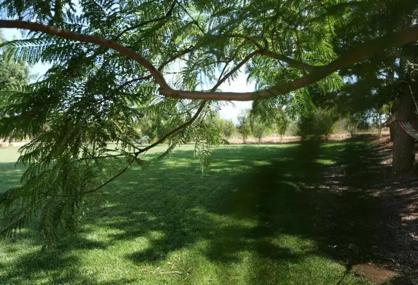 ペンション Agriturismo Masseria San Basilio