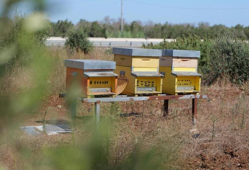 פנסיון Agriturismo Masseria San Basilio