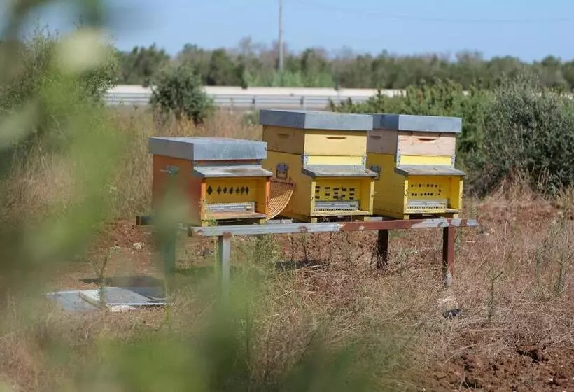 ペンション Agriturismo Masseria San Basilio