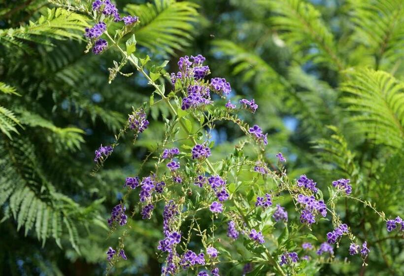 פנסיון Agriturismo Masseria San Basilio