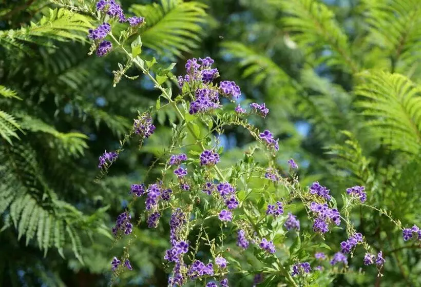 ペンション Agriturismo Masseria San Basilio