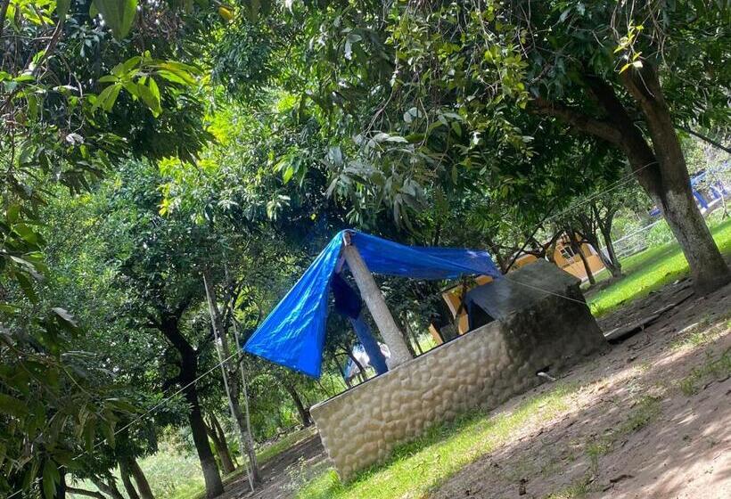 渡假胜地  Avivamiento