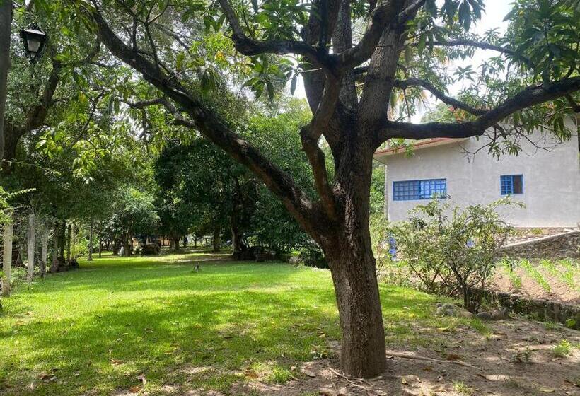 渡假胜地  Avivamiento