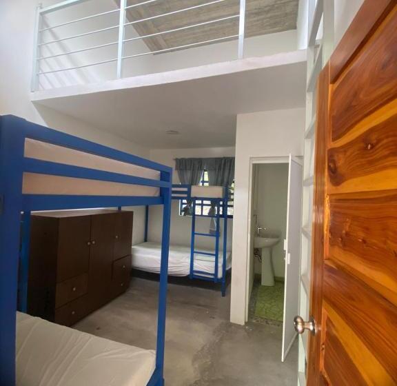 渡假胜地  Avivamiento