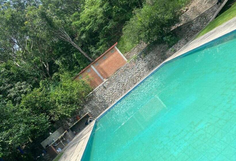 渡假胜地  Avivamiento