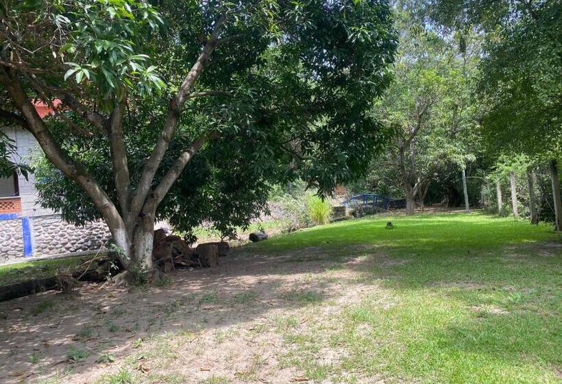 渡假胜地  Avivamiento