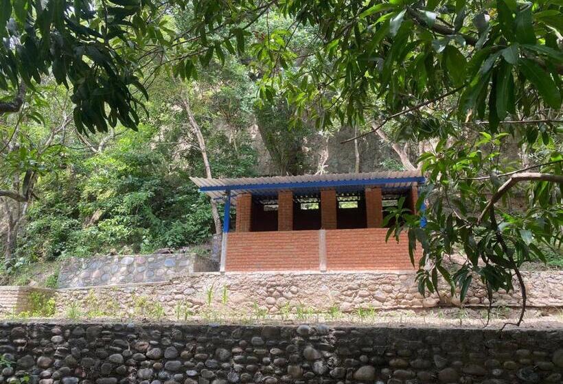 渡假胜地  Avivamiento