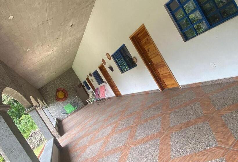 渡假胜地  Avivamiento