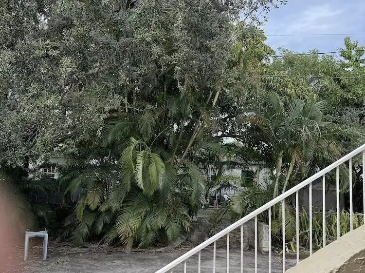 هاستل Arte Wynwood